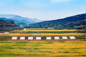 宝鸡市渭滨区：绘就农文旅融合新画卷图片