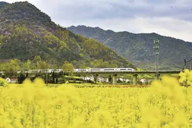 高铁“公交化”开行 西安至汉中赏花更便捷图片