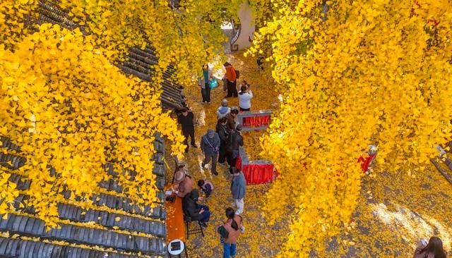 11月，是时候来一趟徐州了