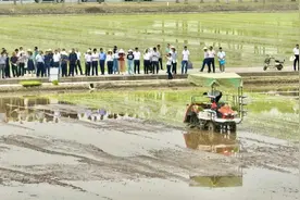 机械化“显身手”，智能化“唱主角”！常州水稻育秧栽插“黑科技”吸引全国农业专家图片