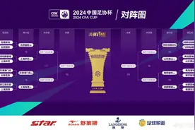 足协杯8强全部出炉：南京城市下一轮主场迎战成都蓉城图片