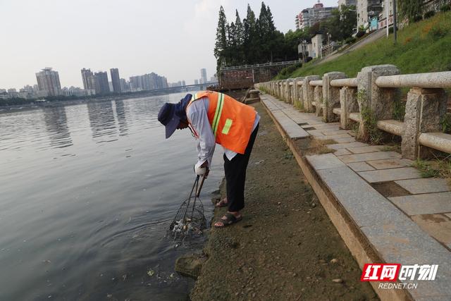 我住湘江边③丨绿净不可唾，山明水秀是衡阳