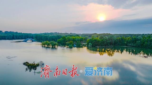 一年四季 泉在济南丨睦里闸迎来“贵客” 上百只白骨顶鸡栖息觅食成生态美景