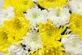 父亲节征文｜可亲可敬的父亲图片