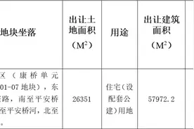 杭州挂牌一宗涉宅用地，起始价约9.79亿元图片