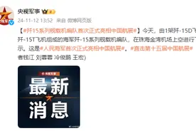 海军歼-15系列舰载机编队首次正式亮相中国航展图片