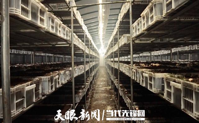 聚焦数博会 | 贵州：企业“上云用数赋智”掀起“车间革命”