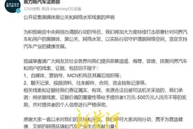 赛力斯悬赏500万元征集抹黑问界线索，多车企打击黑嘴，有人已领百万赏金图片