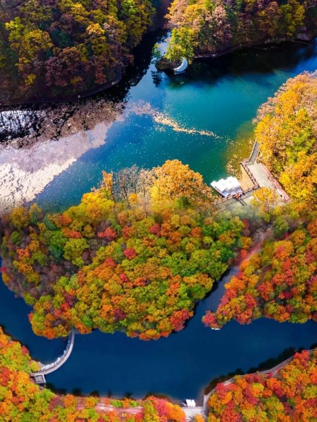 初冬高饱和度美景，还得看洛阳！