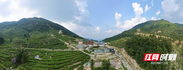 生态平江物华新③丨平江县探索“两山”转化“山水实践论”