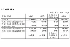 V观财报｜新奥股份：2024年净利润降36.64% 董事长辞职图片