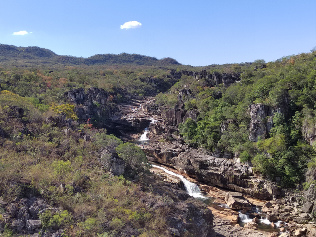 包茂红｜巴西的环境保护