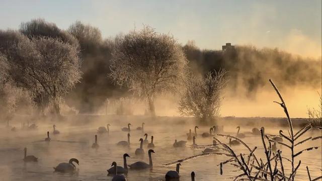 美极了！“疯狂动物城”与“冰雪奇缘”梦幻联动！