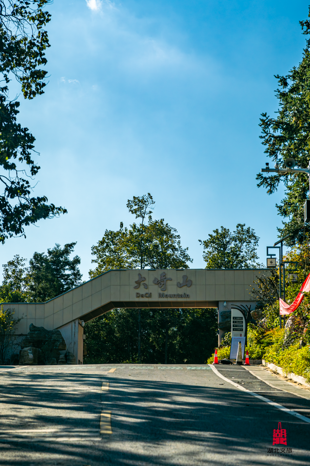 想追风，去团风！