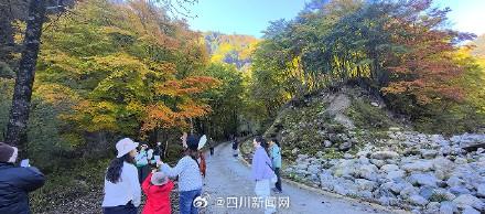 四川广元：山山秋色如画 树树红叶醉人