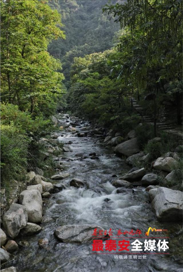 青绿泰山 清凉一夏丨夏天的正确打开方式！泰山彩石溪承包你的清凉自由