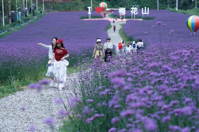 文旅消费“火出圈”——看六盘水依托气候优势打出“组合拳”