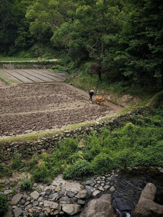 想搬去杭州了