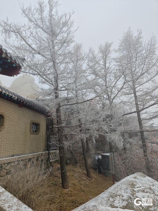 冬游崂山正当时！快来邂逅青岛版“冰雪奇缘”