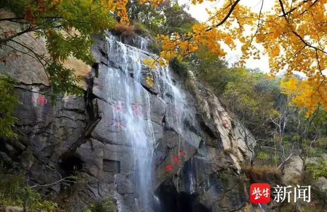 大王叫你来巡山！连云港花果山邀您参加新年登山赛