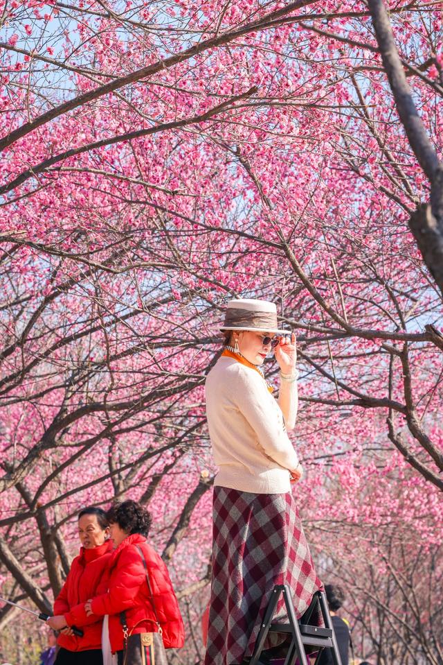 不是周末，人都巨多！武汉赏梅热潮持续，市民游客“踏香而来”