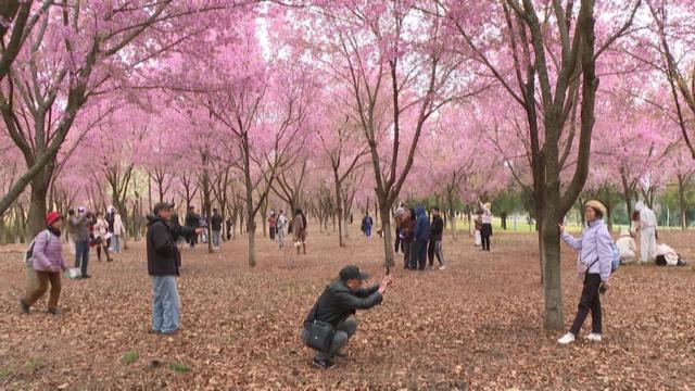 弥勒，人气爆棚！