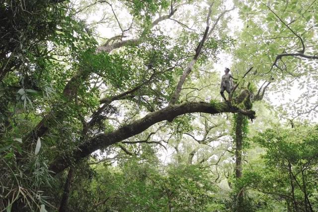 他初中毕业后终身不婚，荒野舍命工作20年	，被一群博士封神