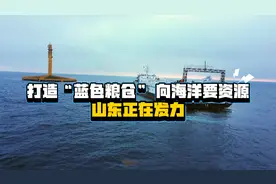 向大海要健康 山东抢占南极磷虾开发制高点图片