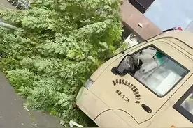 泰安东平校车冲上校门外人行道，已致11人不幸身亡，目击者：肇事司机被特警带走图片