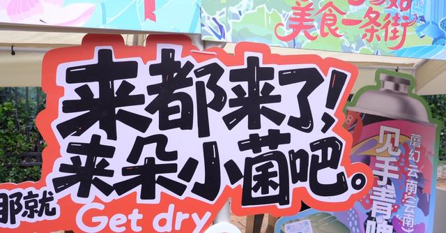 牛肝菌冰淇淋、松露啤酒……解锁菌子暴走地图，昆明这条野生菌主题街巨好玩！