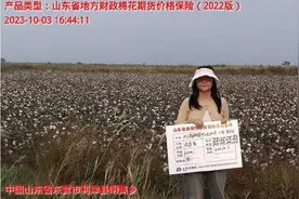 芦花新闻|东营市深入创新特色农业保险，助农稳收增收，护航产业振兴图片