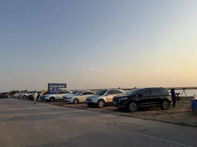 东营观鸟季开启！停车、厕所、休息站……便民服务已就位