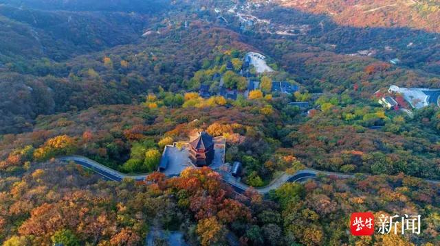 大王叫你来巡山！连云港花果山邀您参加新年登山赛