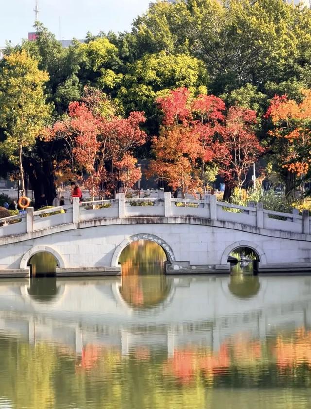 没想到，冬日的黎明湖公园这么美！