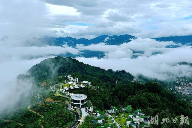 夷陵：三峡茶旅小镇开启“盖碗功夫茶”体验之旅