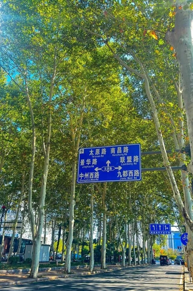 神都风物｜有一种深秋，叫西苑路