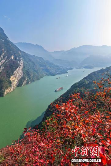 长江西陵峡：碧水红叶相映成画