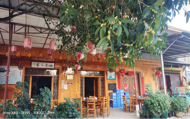 千年银杏韵，金黄满地诗，金色海洋游玩攻略来了！