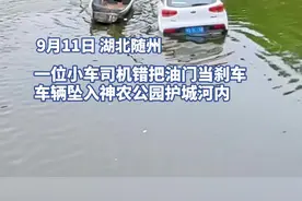 司机误将油门当刹车坠入护城河，热心市民划船救人图片