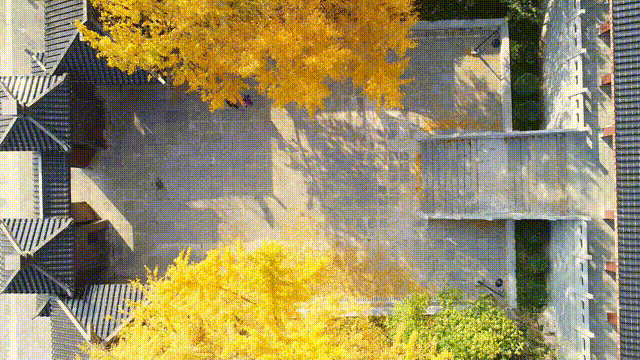 超美超出片！荆门这些宝藏地，附详细打卡攻略