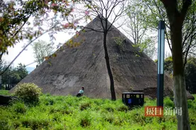 武汉万国公园废弃金字塔成网红打卡地图片