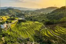 【海陆丰味】解锁汕尾美味：陆河篇图片