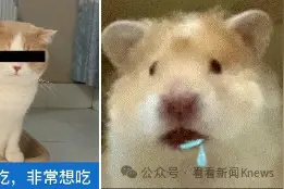 不用排队一站买齐！上海大世界齐聚8家老字号鲜肉月饼！仅限一天图片
