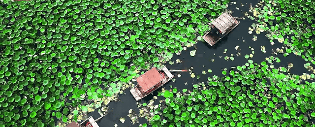 全球金奖！这次是——