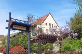 又是熟悉的“套路”！青岛九中自主招生面试题“剧透”时间到！图片