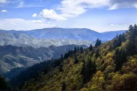 祁连山下的绿色守护者图片