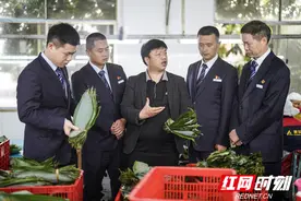 建行助力“小粽叶”变“大产业”图片