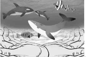 水更清 湾更美 滩更净 招更实我国依法治理海洋生态环境取得丰硕成果图片