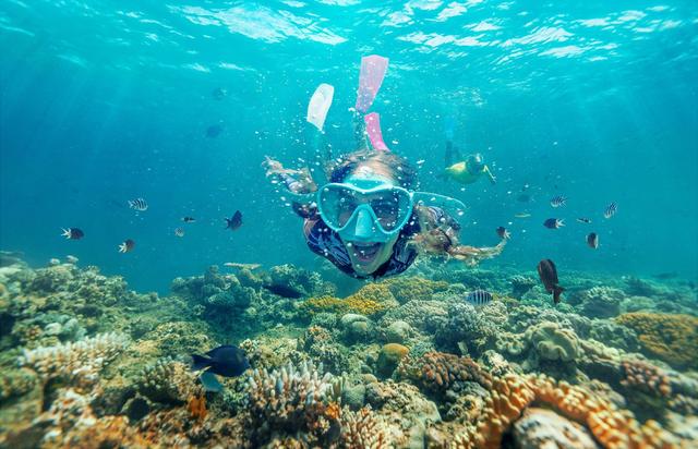 强化“度假”标签，昆士兰旅游局发布全新中文品牌