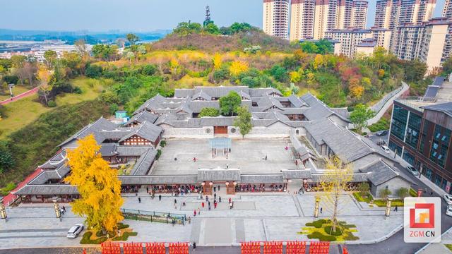 打卡正当时！王家大院解锁百年银杏“限定金色皮肤”